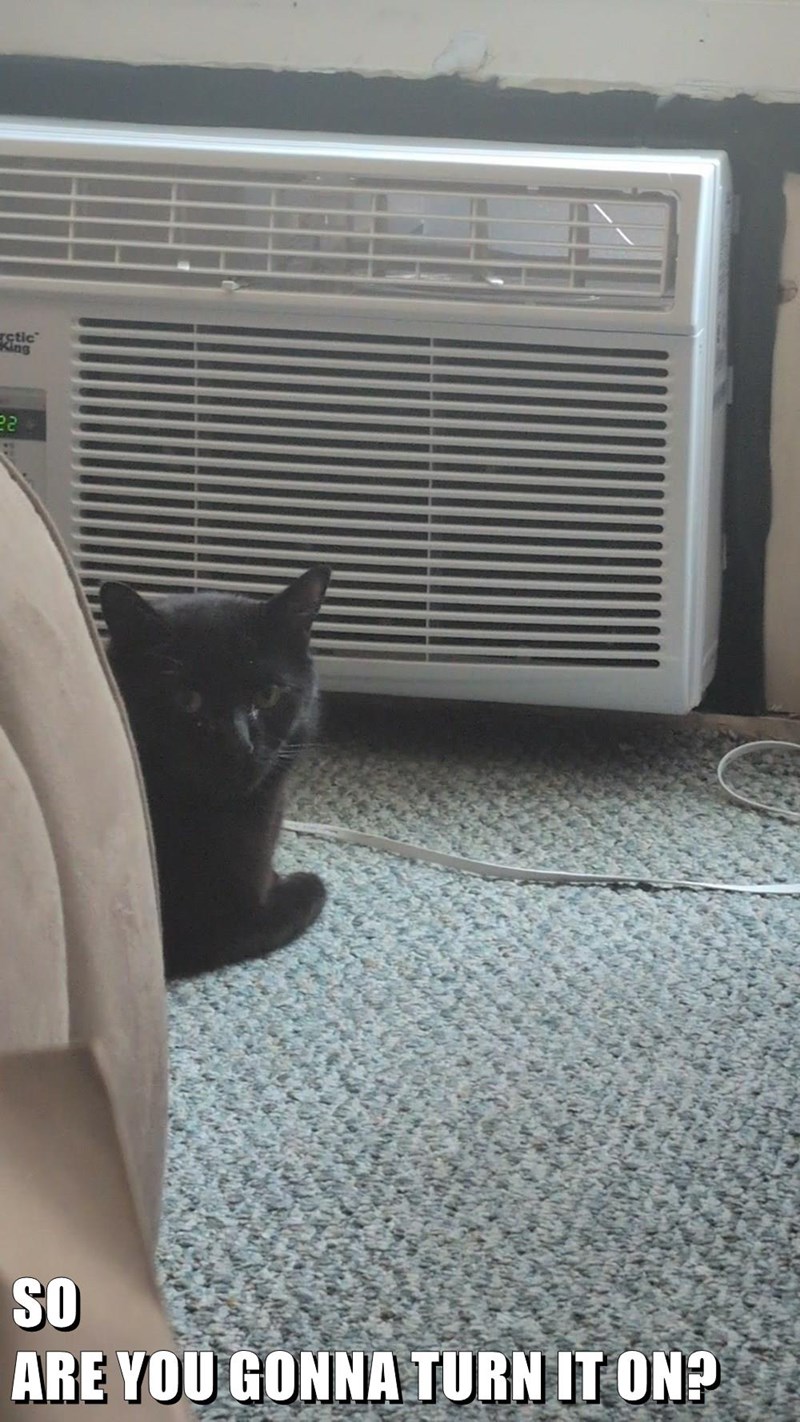 rctic King 22 SO ARE YOU GONNA TURN IT ON?