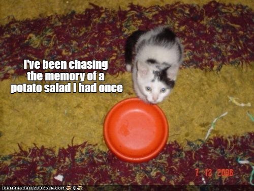 I've been chasing the memory of a potato salad I had once ICANHASCHEEZBURGER.COM : 1-12 2006