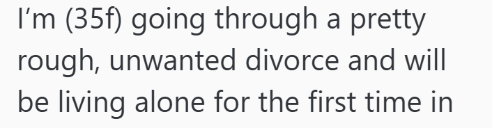 I'm (35f) going through a pretty rough, unwanted divorce and will be living alone for the first time in