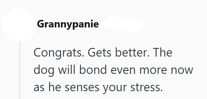 Grannypanie Congrats. Gets better. The dog will bond even more now as he senses your stress.