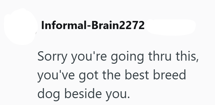 Informal-Brain2272 Sorry you're going thru this, you've got the best breed dog beside you.