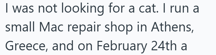 I was not looking for a cat. I run a small Mac repair shop in Athens, Greece, and on February 24th a