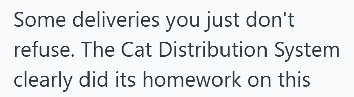 Some deliveries you just don't refuse. The Cat Distribution System clearly did its homework on this
