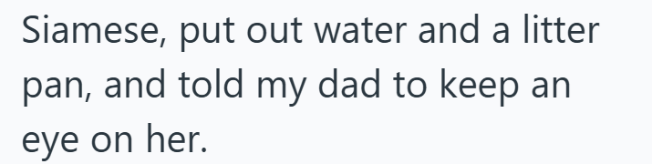 Siamese, put out water and a litter pan, and told my dad to keep an eye on her.