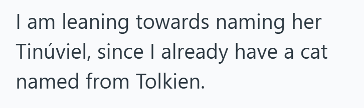 I am leaning towards naming her Tinúviel, since I already have a cat named from Tolkien.
