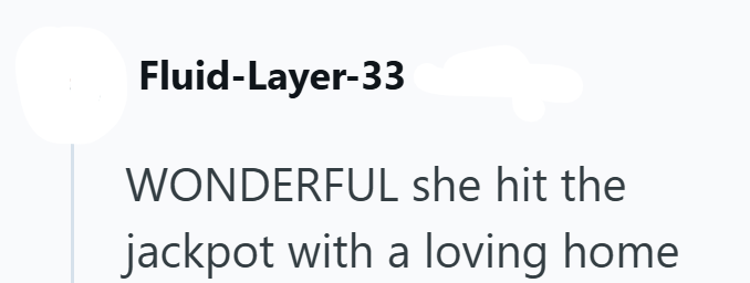 Fluid-Layer-33 WONDERFUL she hit the jackpot with a loving home