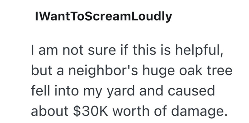 IWantToScreamLoudly I am not sure if this is helpful, but a neighbor's huge oak tree fell into my yard and caused about $30K worth of damage.