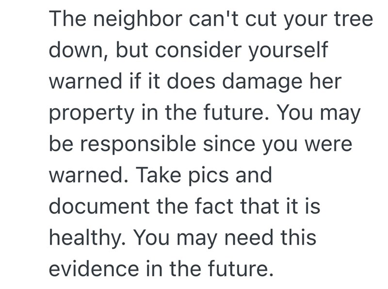 The neighbor can't cut your tree down, but consider yourself warned if it does damage her property in the future. You may be responsible since you were warned. Take pics and document the fact that it is healthy. You may need this evidence in the future.