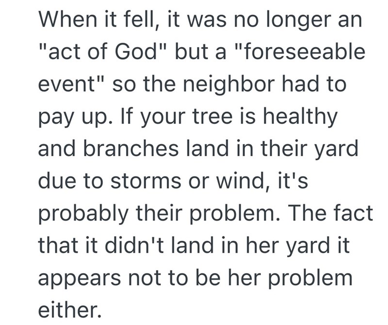 When it fell, it was no longer an "act of God" but a "foreseeable event" so the neighbor had to pay up. If your tree is healthy and branches land in their yard due to storms or wind, it's probably their problem. The fact that it didn't land in her yard it appears not to be her problem either.