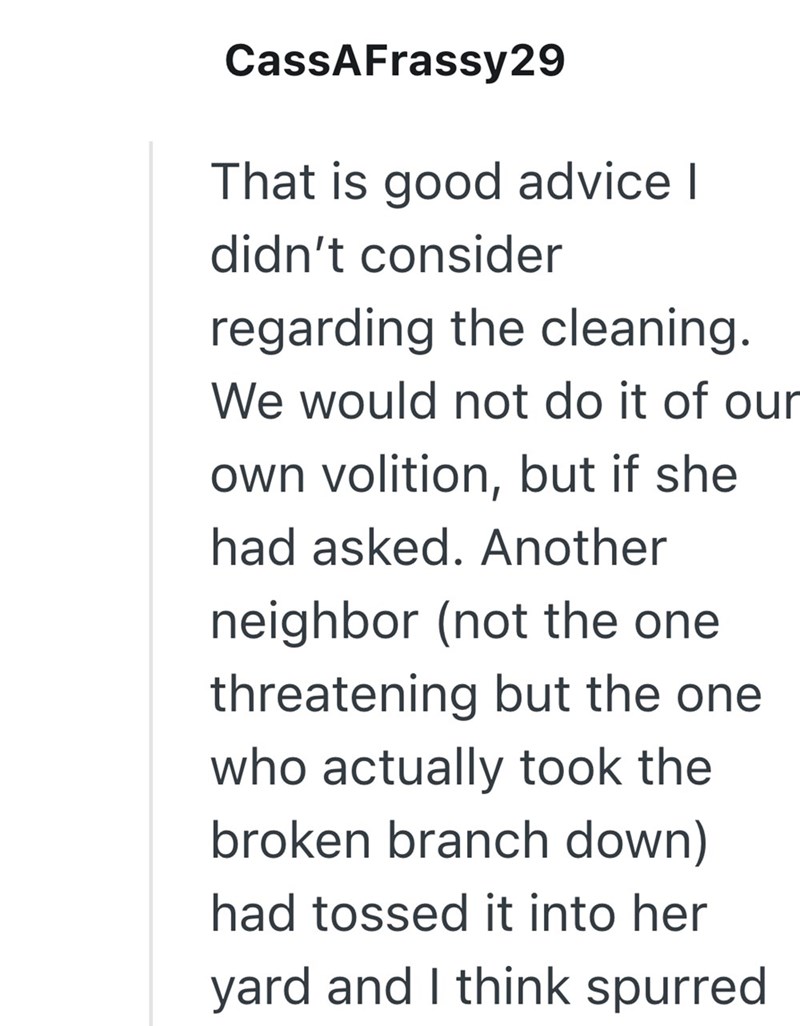 CassAFrassy29 That is good advice I didn't consider regarding the cleaning. We would not do it of our own volition, but if she had asked. Another neighbor (not the one threatening but the one who actually took the broken branch down) had tossed it into her yard and I think spurred