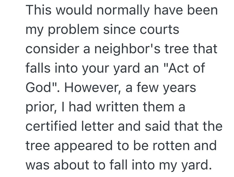 This would normally have been my problem since courts consider a neighbor's tree that falls into your yard an "Act of God". However, a few years. prior, I had written them a certified letter and said that the tree appeared to be rotten and was about to fall into my yard.