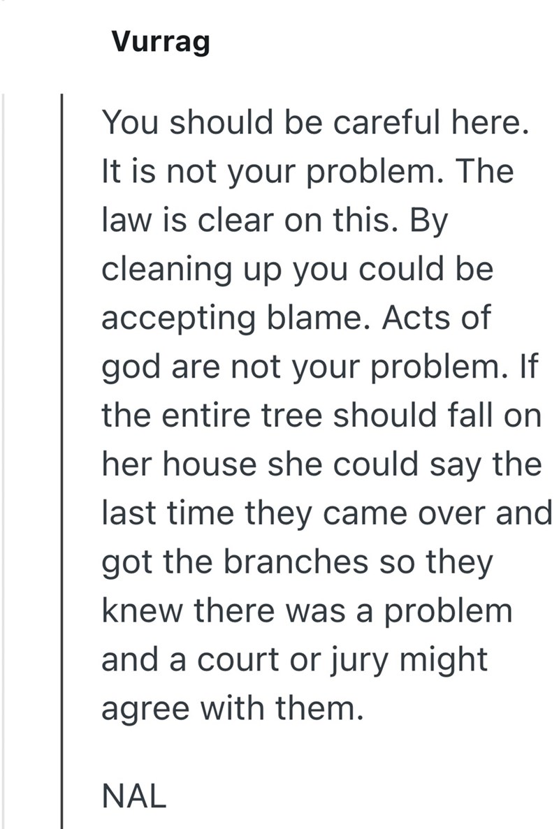 Vurrag You should be careful here. It is not your problem. The law is clear on this. By cleaning up you could be accepting blame. Acts of god are not your problem. If the entire tree should fall on her house she could say the last time they came over and got the branches so they knew there was a problem. and a court or jury might agree with them. NAL