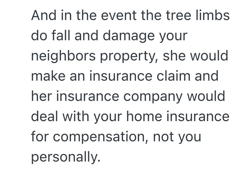 And in the event the tree limbs do fall and damage your neighbors property, she would make an insurance claim and her insurance company would deal with your home insurance for compensation, not you personally.