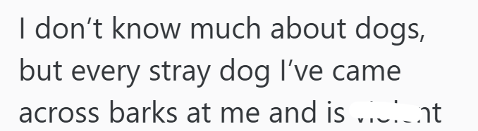 I don't know much about dogs, but every stray dog I've came across barks at me and is icient