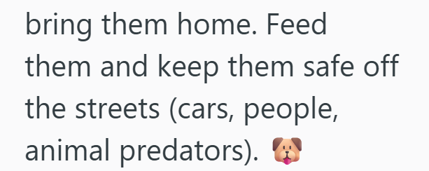 bring them home. Feed them and keep them safe off the streets (cars, people, animal predators). W