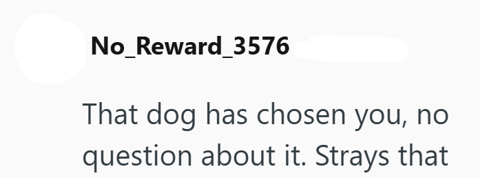 No_Reward_3576 That dog has chosen you, no question about it. Strays that