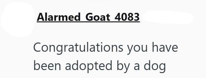 Alarmed Goat 4083 Congratulations you have been adopted by a dog