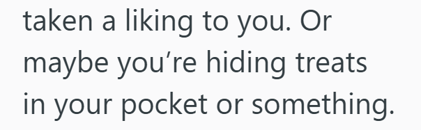 taken a liking to you. Or maybe you're hiding treats in your pocket or something.