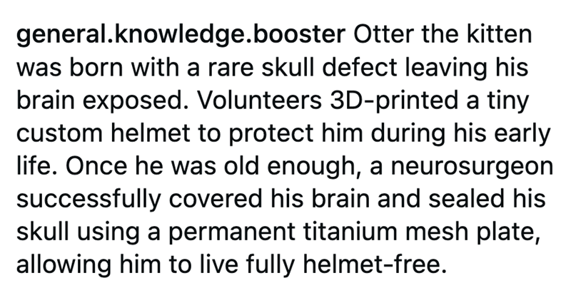 general.knowledge.booster Otter the kitten was born with a rare skull defect leaving his brain exposed. Volunteers 3D-printed a tiny custom helmet to protect him during his early life. Once he was old enough, a neurosurgeon successfully covered his brain and sealed his skull using a permanent titanium mesh plate, allowing him to live fully helmet-free.