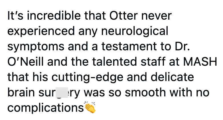 It's incredible that Otter never experienced any neurological symptoms and a testament to Dr. O'Neill and the talented staff at MASH that his cutting-edge and delicate brain sur ry was so smooth with no complications