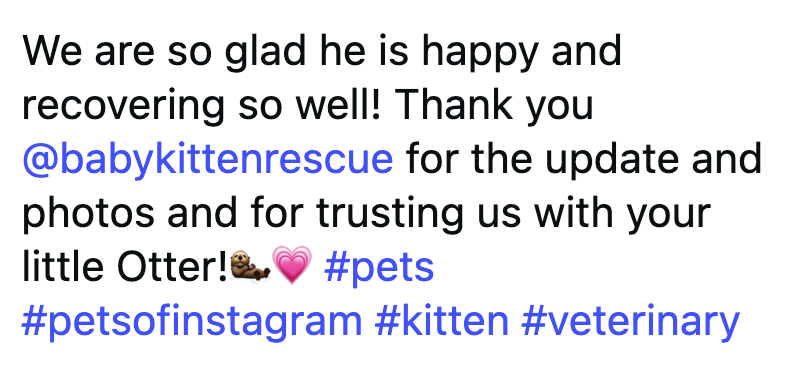 We are so glad he is happy and recovering so well! Thank you @babykittenrescue for the update and photos and for trusting us with your little Otter! ♥ #pets #petsofinstagram #kitten #veterinary
