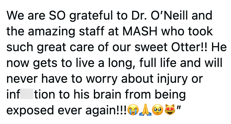 We are SO grateful to Dr. O'Neill and the amazing staff at MASH who took such great care of our sweet Otter!! He now gets to live a long, full life and will never have to worry about injury or inf tion to his brain from being exposed ever again!!!AU"