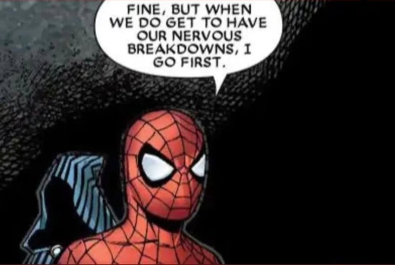 FINE, BUT WHEN WE DO GET TO HAVE OUR NERVOUS BREAKDOWNS, I GO FIRST.