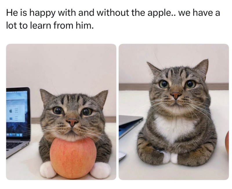 He is happy with and without the apple.. we have a lot to learn from him. 111 111