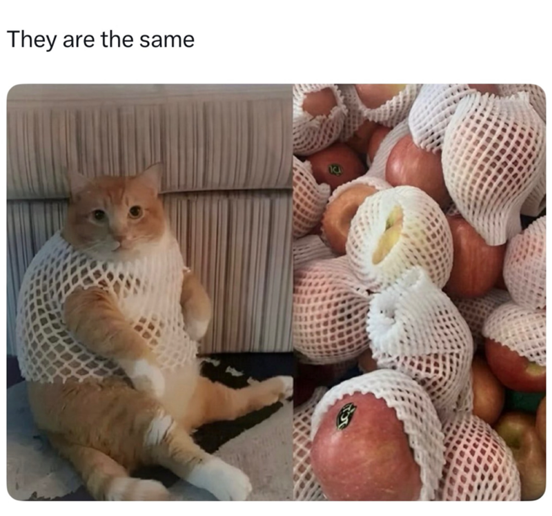 They are the same