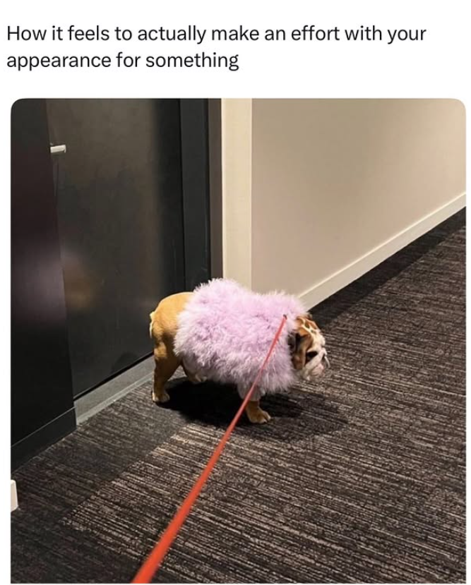 How it feels to actually make an effort with your appearance for something