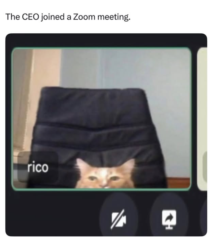 The CEO joined a Zoom meeting. rico
