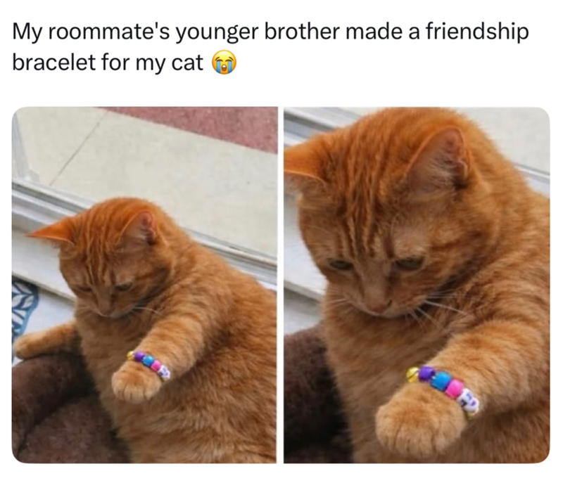 My roommate's younger brother made a friendship bracelet for my cat FD