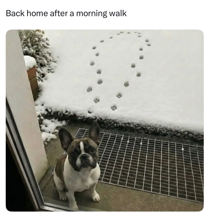 Back home after a morning walk