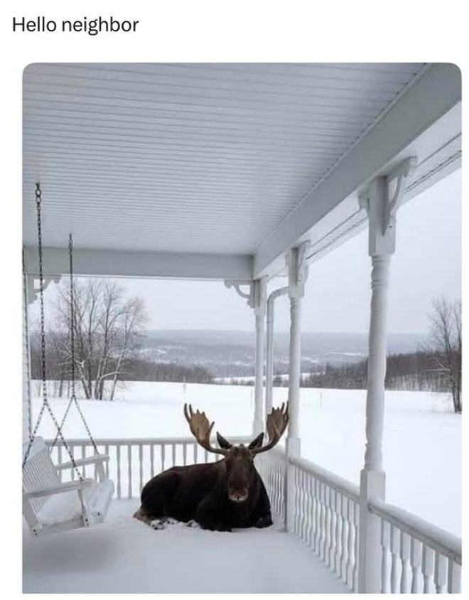 Hello neighbor
