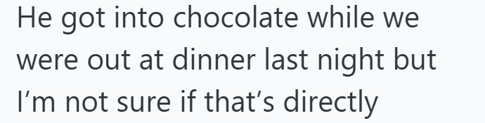 He got into chocolate while we were out at dinner last night but I'm not sure if that's directly