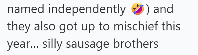 named independently ) and they also got up to mischief this year... silly sausage brothers