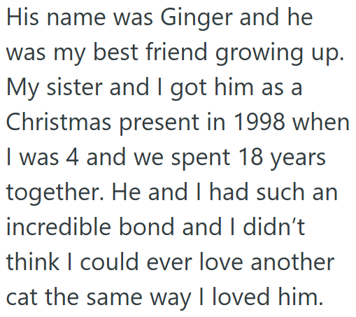 His name was Ginger and he was my best friend growing up. My sister and I got him as a Christmas present in 1998 when I was 4 and we spent 18 years together. He and I had such an incredible bond and I didn't think I could ever love another cat the same way I loved him.