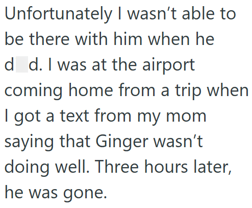 Unfortunately I wasn't able to be there with him when he d d. I was at the airport coming home from a trip when I got a text from my mom saying that Ginger wasn't doing well. Three hours later, he was gone.