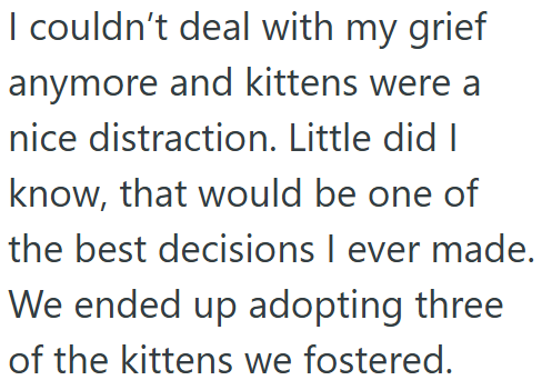 I couldn't deal with my grief anymore and kittens were a nice distraction. Little did I know, that would be one of the best decisions I ever made. We ended up adopting three of the kittens we fostered.