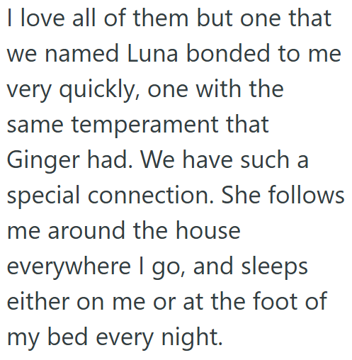 I love all of them but one that we named Luna bonded to me very quickly, one with the same temperament that Ginger had. We have such a special connection. She follows me around the house everywhere I go, and sleeps either on me or at the foot of my bed every night.