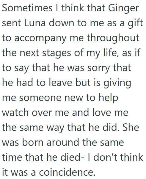Sometimes I think that Ginger sent Luna down to me as a gift to accompany me throughout the next stages of my life, as if to say that he was sorry that he had to leave but is giving me someone new to help watch over me and love me the same way that he did. She was born around the same time that he died- I don't think it was a coincidence.