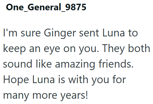 One_General_9875 I'm sure Ginger sent Luna to keep an eye on you. They both sound like amazing friends. Hope Luna is with you for many more years!