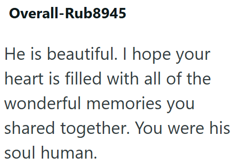 Overall-Rub8945 He is beautiful. I hope your heart is filled with all of the wonderful memories you shared together. You were his soul human.