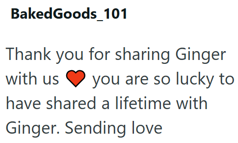 Baked Goods _101 Thank you for sharing Ginger with us you are so lucky to have shared a lifetime with Ginger. Sending love