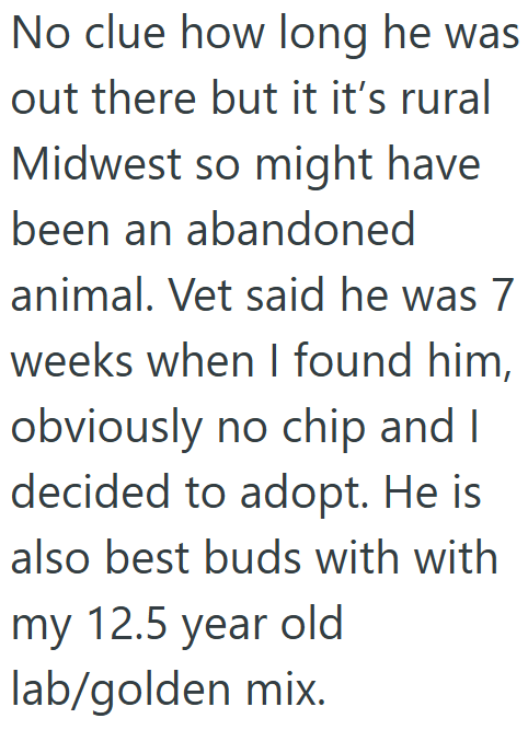 No clue how long he was out there but it it's rural Midwest so might have been an abandoned animal. Vet said he was 7 weeks when I found him, obviously no chip and I decided to adopt. He is also best buds with with my 12.5 year old lab/golden mix.