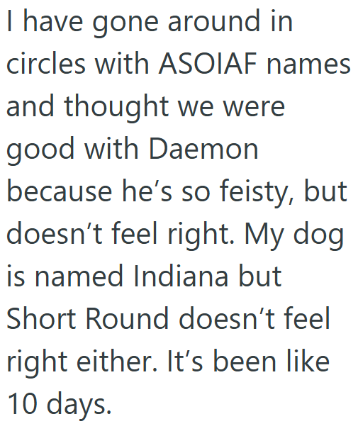I have gone around in circles with ASOIAF names and thought we were good with Daemon because he's so feisty, but doesn't feel right. My dog. is named Indiana but Short Round doesn't feel right either. It's been like 10 days.
