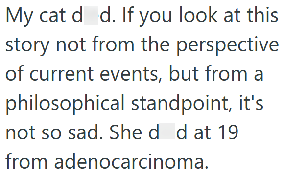 My cat de d. If you look at this story not from the perspective of current events, but from a philosophical standpoint, it's not so sad. She d. d at 19 from adenocarcinoma.