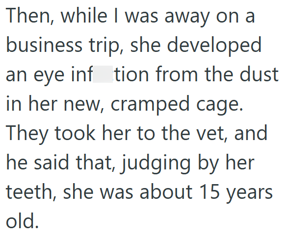 Then, while I was away on a business trip, she developed an eye inftion from the dust in her new, cramped cage. They took her to the vet, and he said that, judging by her teeth, she was about 15 years old.