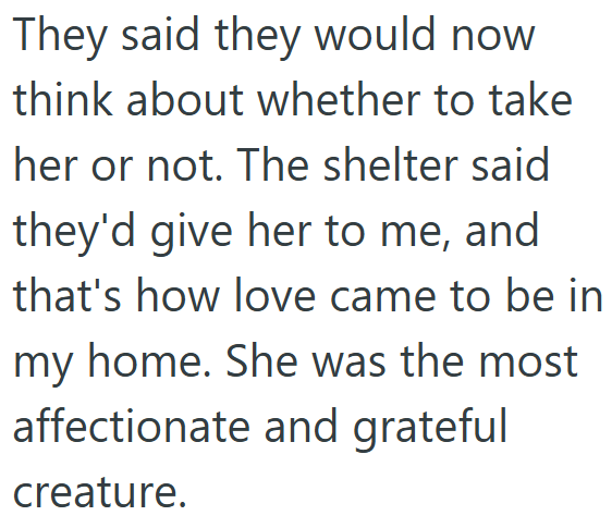 They said they would now think about whether to take her or not. The shelter said they'd give her to me, and that's how love came to be in my home. She was the most affectionate and grateful creature.
