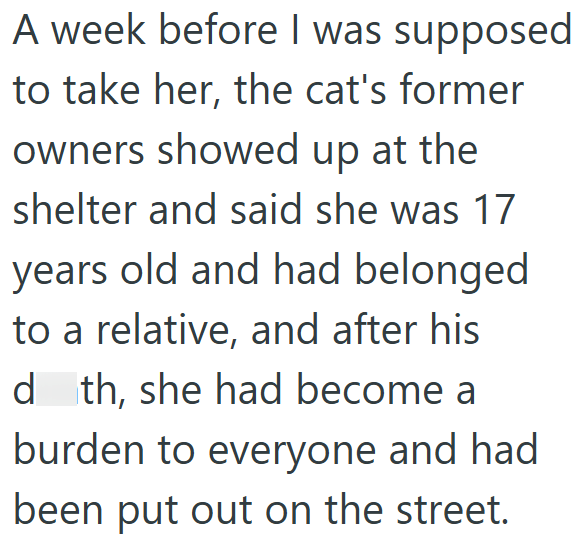 A week before I was supposed to take her, the cat's former owners showed up at the shelter and said she was 17 years old and had belonged to a relative, and after his d th, she had become a burden to everyone and had been put out on the street.